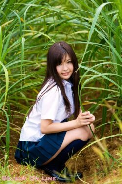 爱上男保姆电视剧